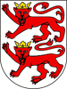 Wappen Nenzing